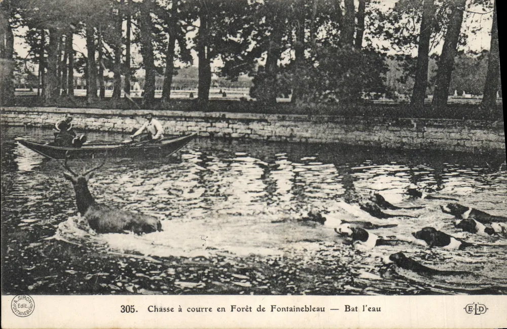 Jagd mit Hunden in der Forêt de Fontainebleau — Bat l'eau — Verlag ELD, Nr. 305 - Vorderseite