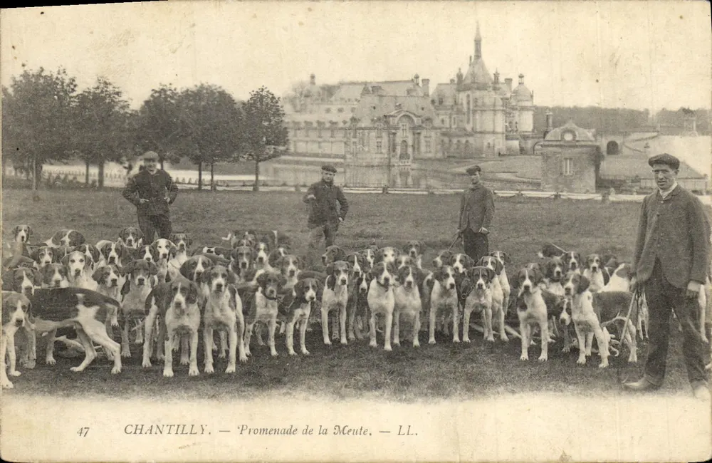 Chantilly — Promenade de la Meute — LL. - Vorderseite