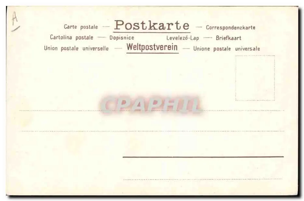 Rosas — flor e botões — editor desconhecido, número de série não visível - Verso