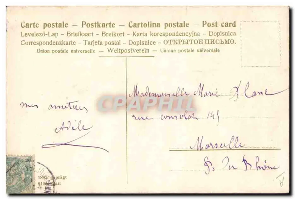 Flores de pâquerettes — ilustração — editor desconhecido, número de série não visível - Verso