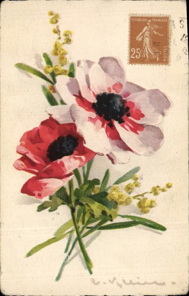 Arranjo de flores — anêmonas e mimosa — editor C. V. Vélin - Frente