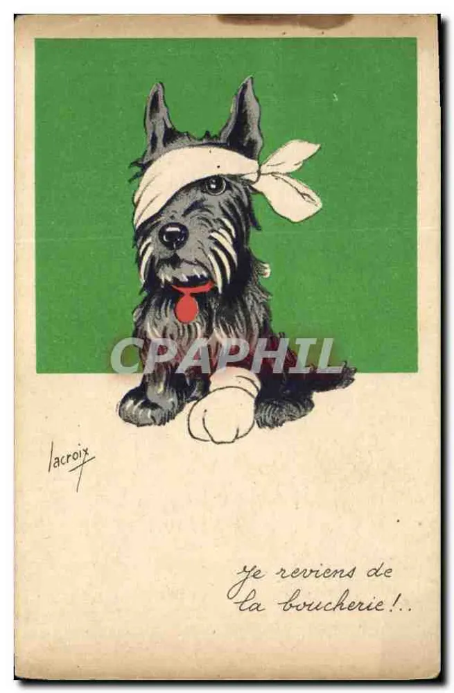 Schottischer Terrier — Kopf verbunden, mit humorvollen Text — Lacroix, n° C.65 - Vorderseite