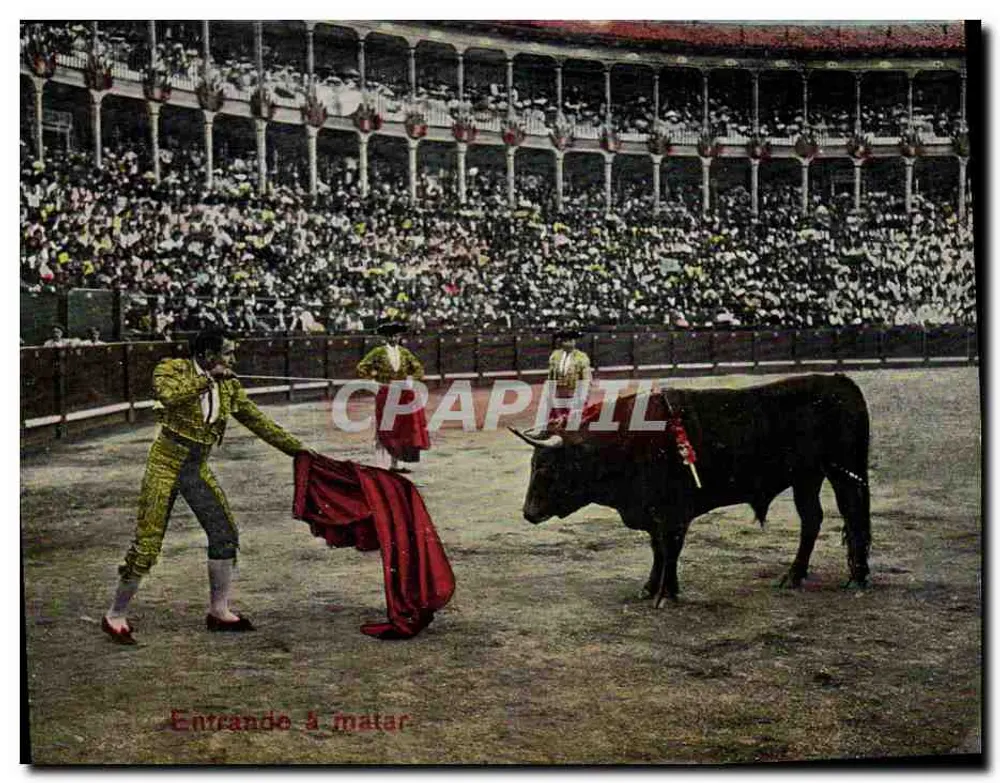 Entrando à matar — Corrida de touro — n°3529 - Frente