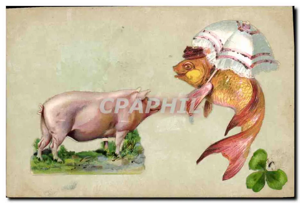 Schwein und goldener Fisch — humorvoller Szenen — Verleger nicht sichtbar - Vorderseite