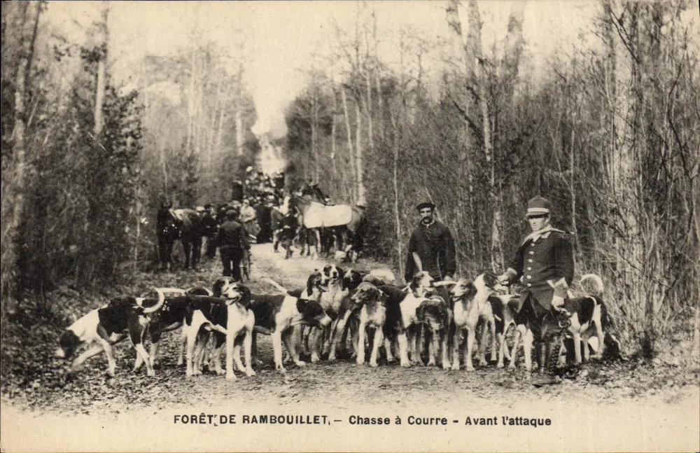 Forêt de Rambouillet — Jagd — Vor dem Angriff — Lepêtre, Rambouillet - Vorderseite