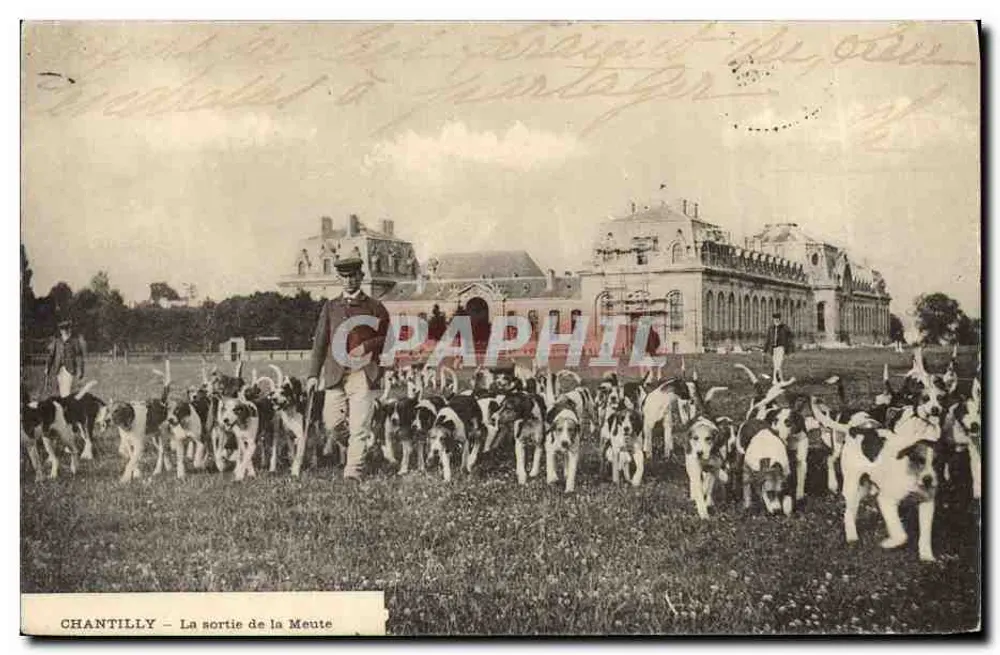 Chantilly — Die Abreise der Jagdhunde — E. de Rozyczi, phot. (494) - Vorderseite