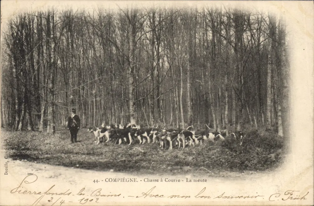 Caça à Courre — A Matilha — Compiègne, 1902 — Decalle & Früh, n°44 - Frente