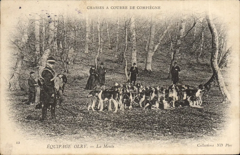 Jagdhunde von Compiègne — Equipage Olry — La Meule — Collections ND Phot - Vorderseite