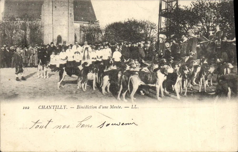 Chantilly — Segen für eine Hundeeme — LL. Nr. 102 - Vorderseite