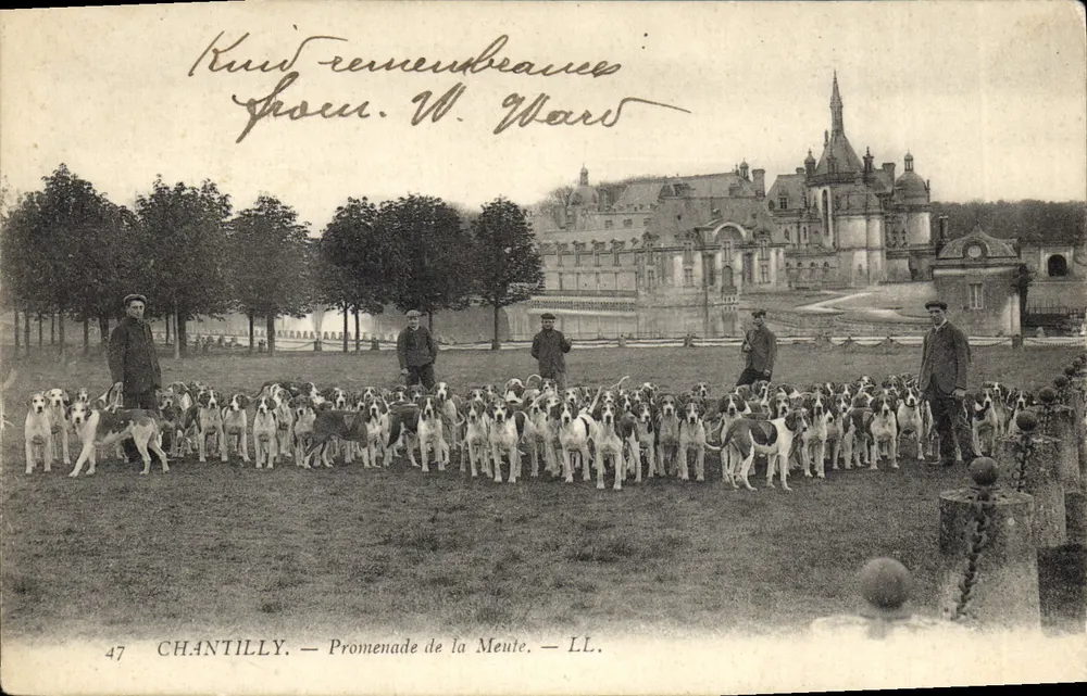 Chantilly — Promenade de la Meute — LL. — n°47 - Vorderseite