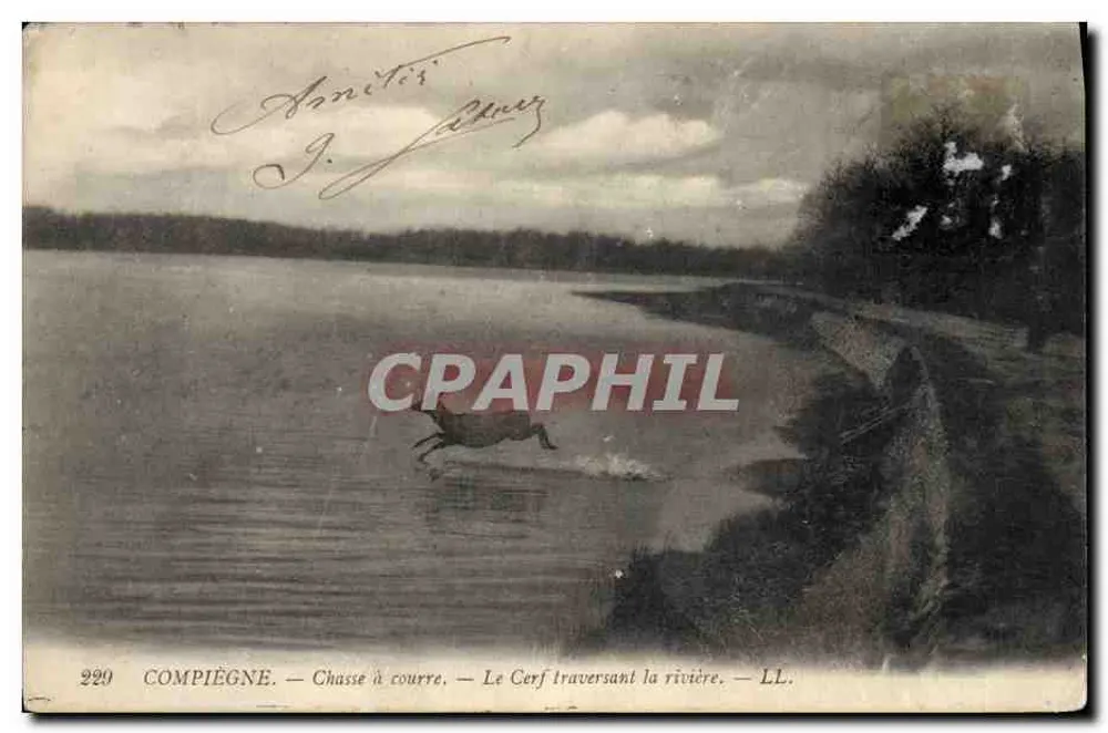 Compiègne — Caça à cavalo — O Cervo atravessando o rio — LL. - Frente