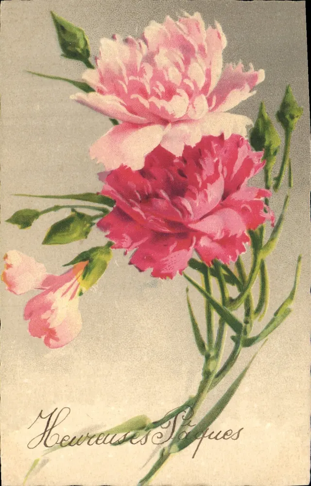 Flores de Páscoa — Carnícias rosas e vermelhas — Editor não identificado - Frente
