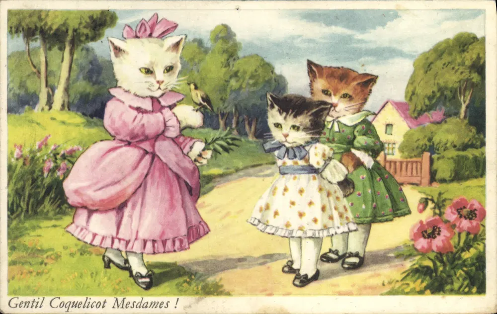Três gatos filhotes em vestido — cena bucólica — editor SP, n° 711 - Frente