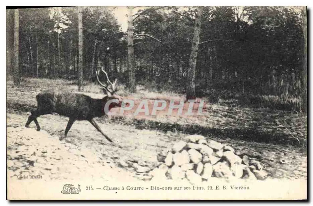 Jagd auf der Strecke — Dix-cors auf seinen Fins. E. B. Vierzon — Aufnahme Muhler, Nr. 214 - Vorderseite