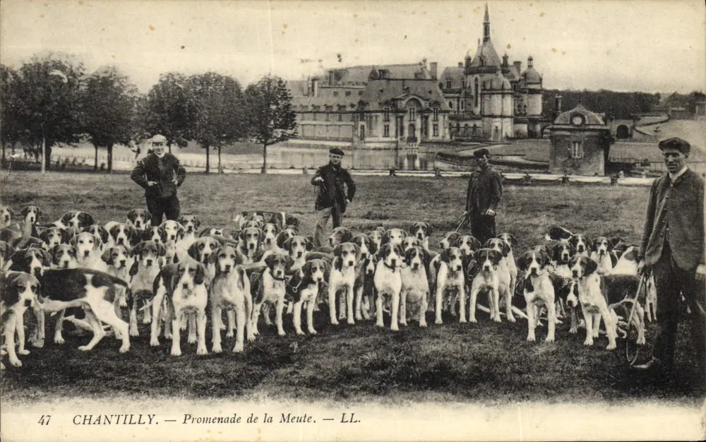 Chantilly — Promenade de la Meute — LL. - Vorderseite