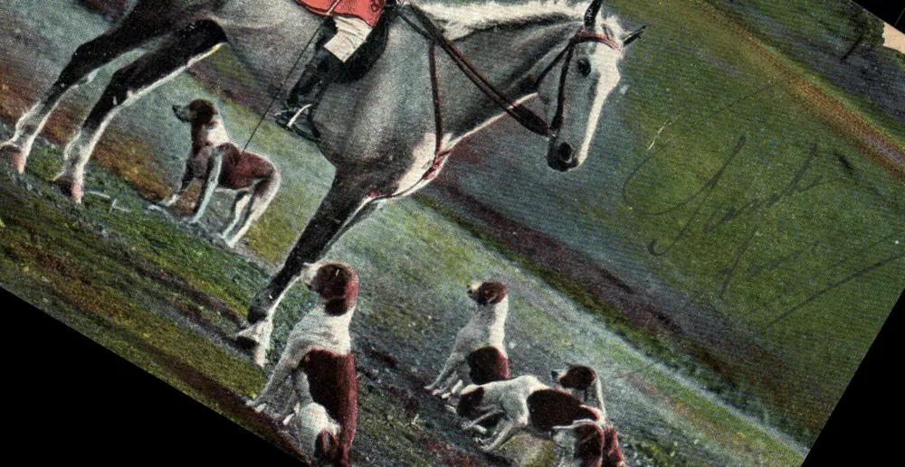 Caça à cavalo — cavaleiro em um cavalo branco e cães de caça — editor T. E. L., série 962 - Frente