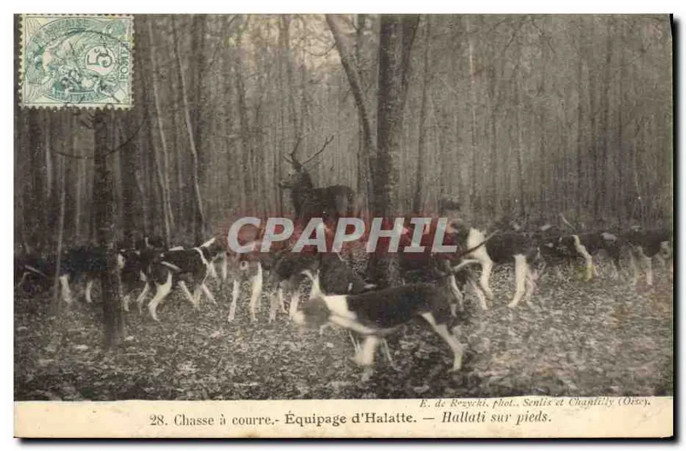 Jagd — Ausrüstung von Halatte — Hallati zu Fuß. E. de Rezycki, Foto. Senlis und Chaplilly (Oise). - Vorderseite