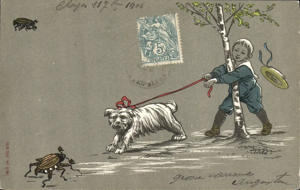 Kind mit Hund und Insekten — Serie SER 703, Verlag Grose & Cie, Nr. 8781 - Vorderseite