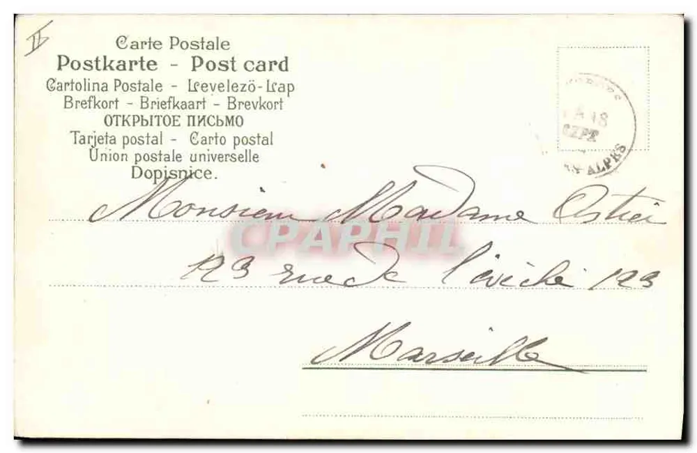 Kind mit Hund und Insekten — Serie SER 703, Verlag Grose & Cie, Nr. 8781 - Rückseite