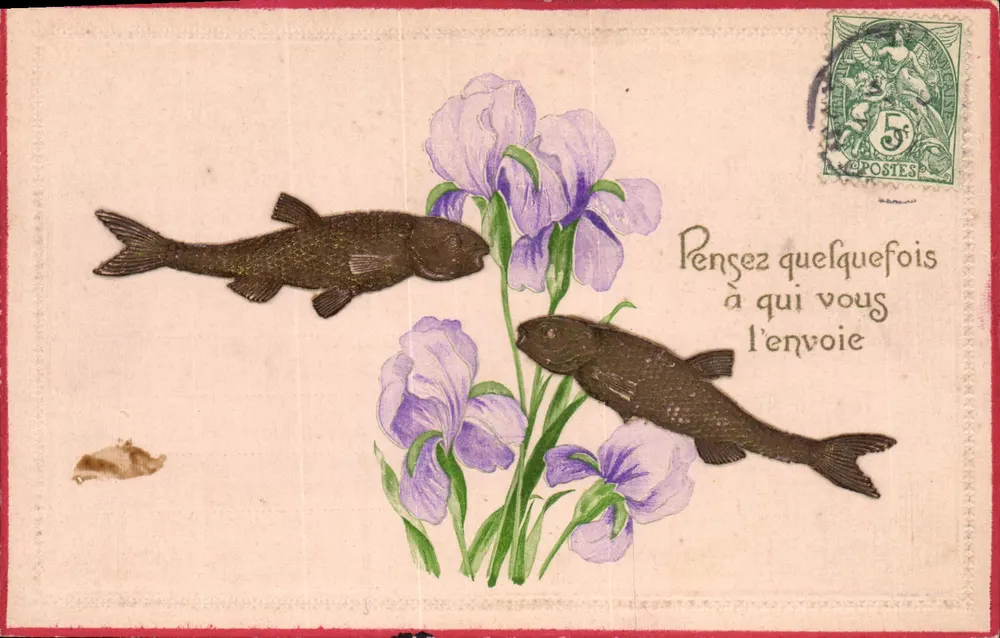 Fische und Iris — Postkarte mit gedrucktem Text — Verleger unbekannt - Vorderseite