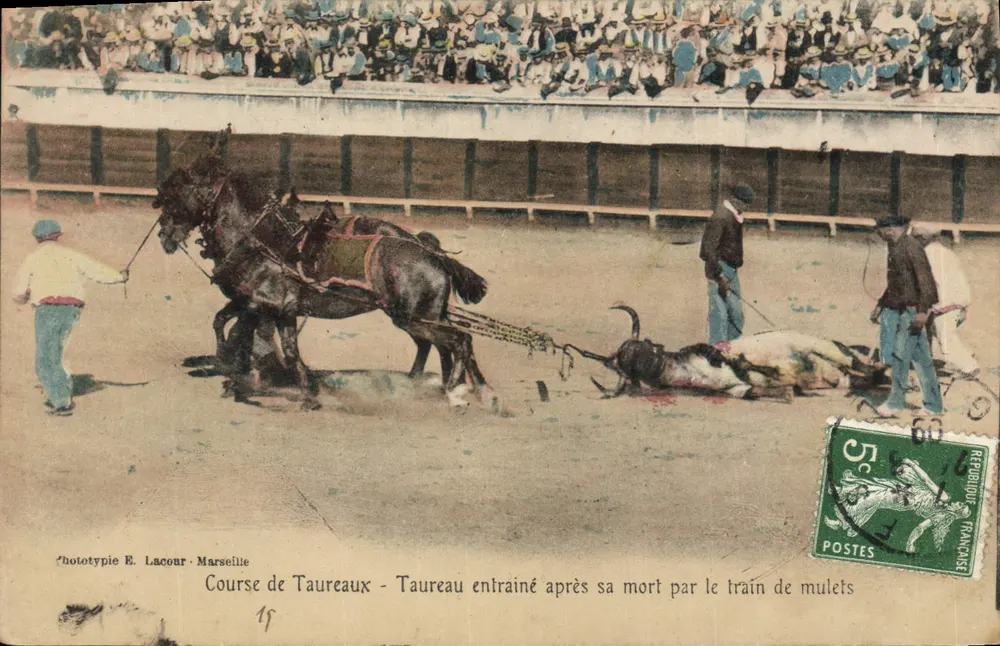 Stierrennen - Toten Stier, der von einem Maultierzug gezogen wird — Phototypie E. Lacour - Marseille, n°19 - Vorderseite