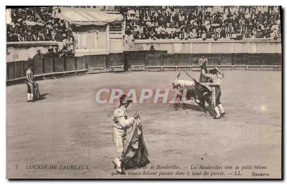 Stierkampf — Banderilla-Position — LL. Selecta - Vorderseite