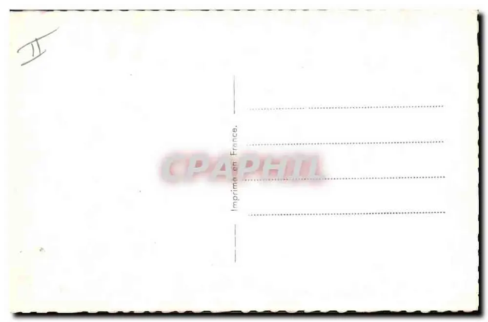 डीना डर्बिन — खिले हुए चेहरे के साथ फूल — Viny 130 - पीछे