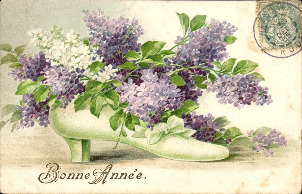 Lilas em um sapato — Boa Ano — editor não visível - Frente