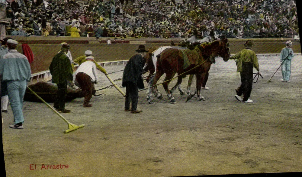 El Arrastre — espetáculo de touro na corrida — n° 49051 - Frente