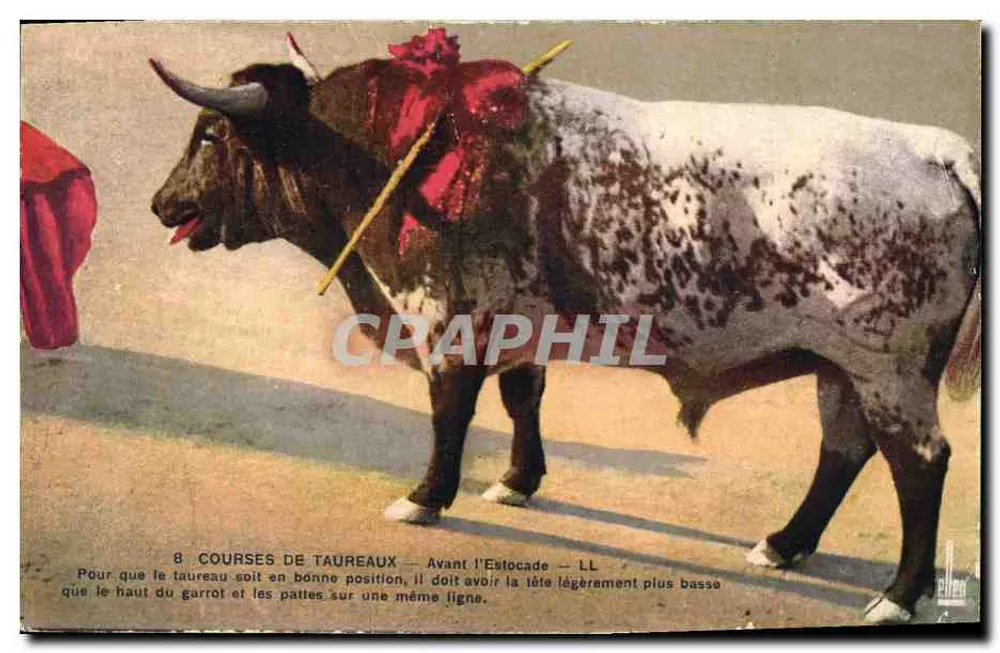 Corridas de touros — Antes da estocada — LL — Editor Levy & Neurdein, Paris - Frente