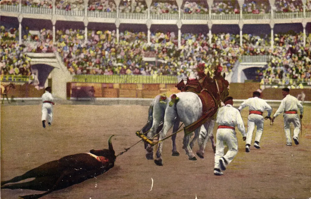 Arrastre del Toro — cena de corrida — Photo Galarza, San Sebastián - Frente