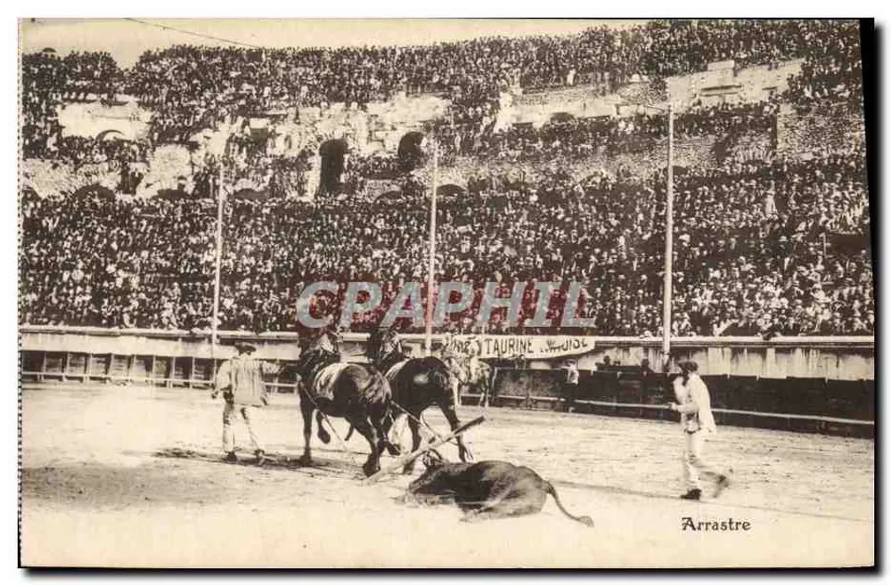 Arrastre — Corrida de touro — Photo Feuilliste, Nîmes - Frente