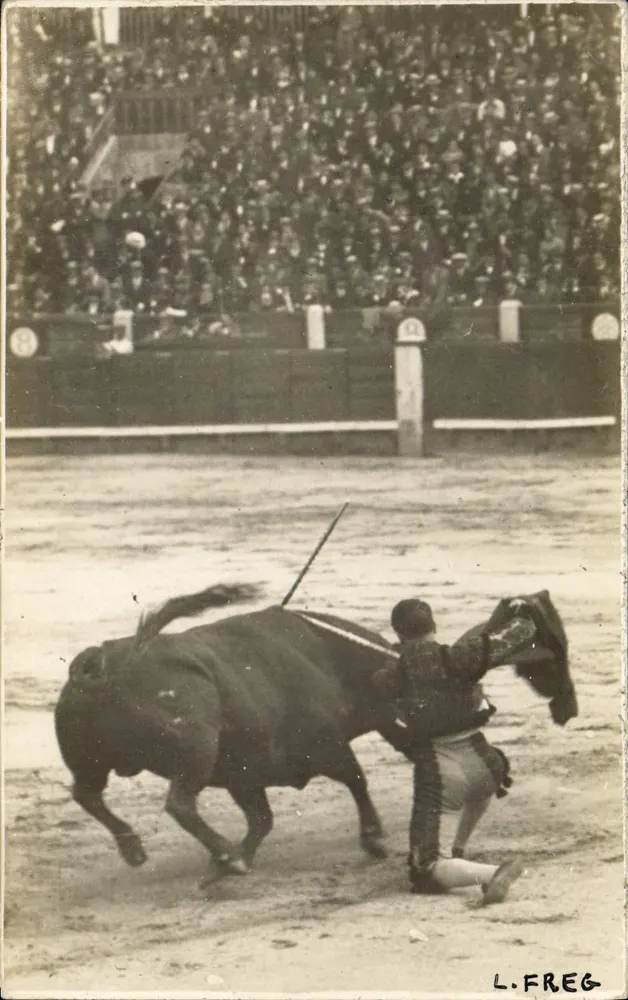 Toreador e touro — espetáculo de tauromaquia — Baldomero Fotógrafo, Madrid - Frente