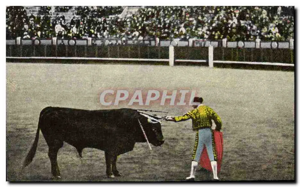Corrida de touros — n. 71 m. — Corrida de touros - Frente