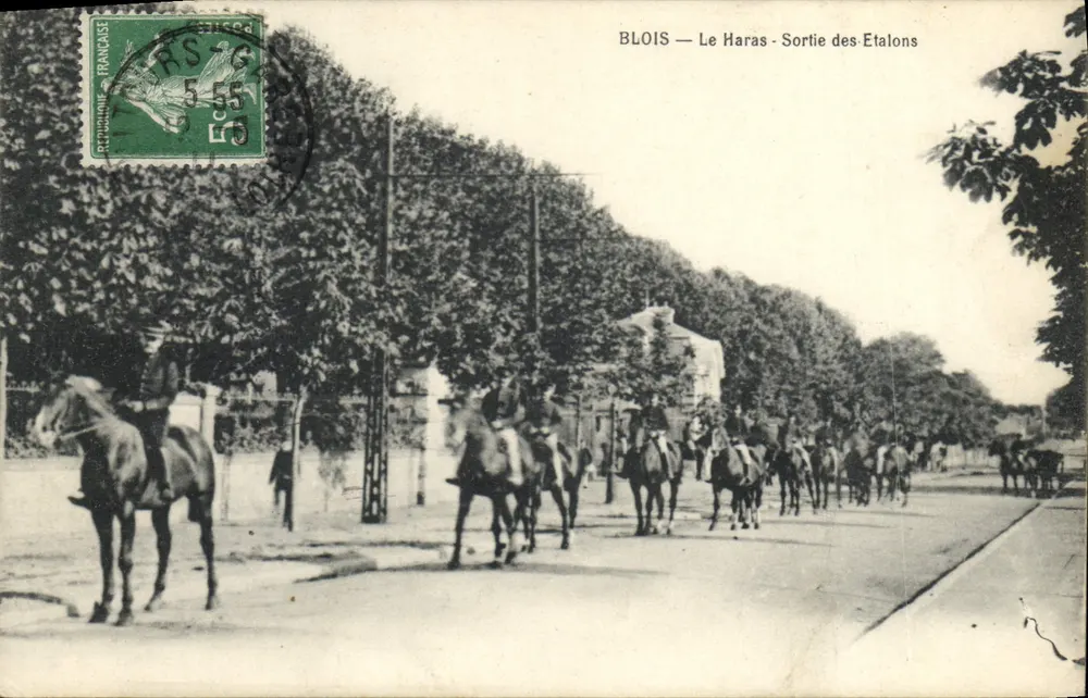 Blois — Das Gestüt — Ausritt der Fohlen - Vorderseite