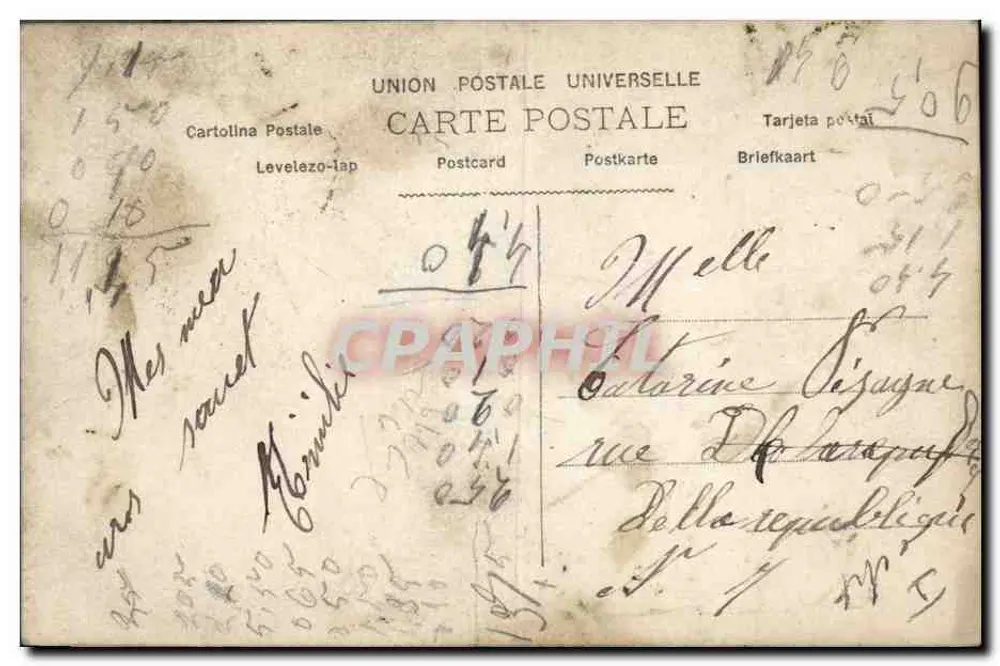 Rosenstrauß mit Porträts von Männern — Vive Sainte Catherine — A-N Paris, Nr. 791 - Rückseite