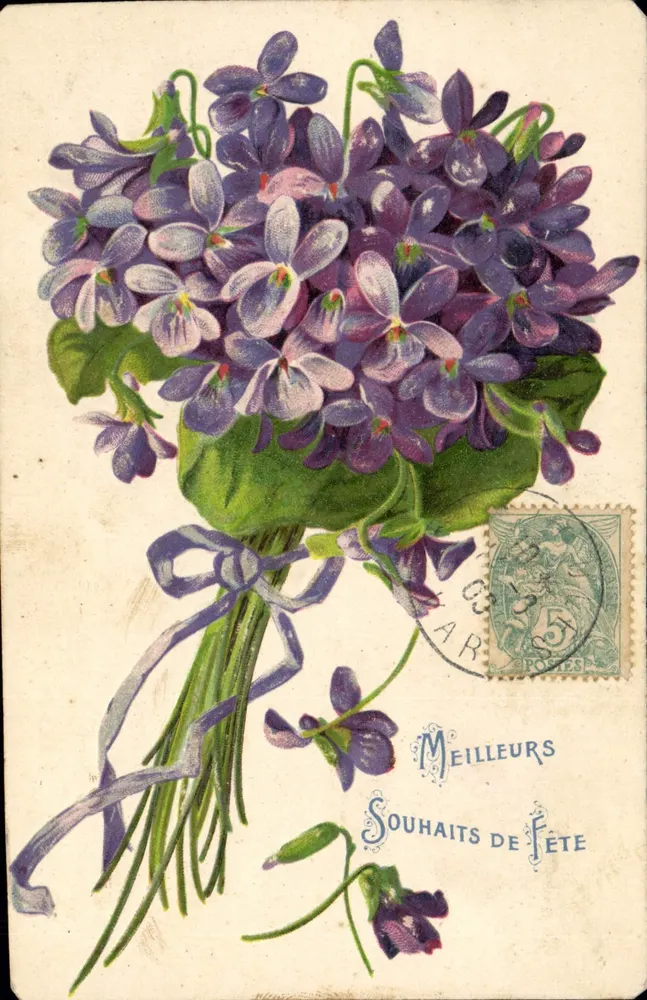 Mata de violetas — Boas Festas — editor não visível - Frente