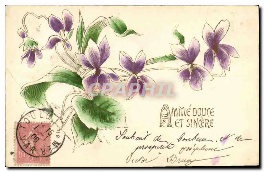 Violetas — Desejo de felicidade e prosperidade — editor não visível - Frente