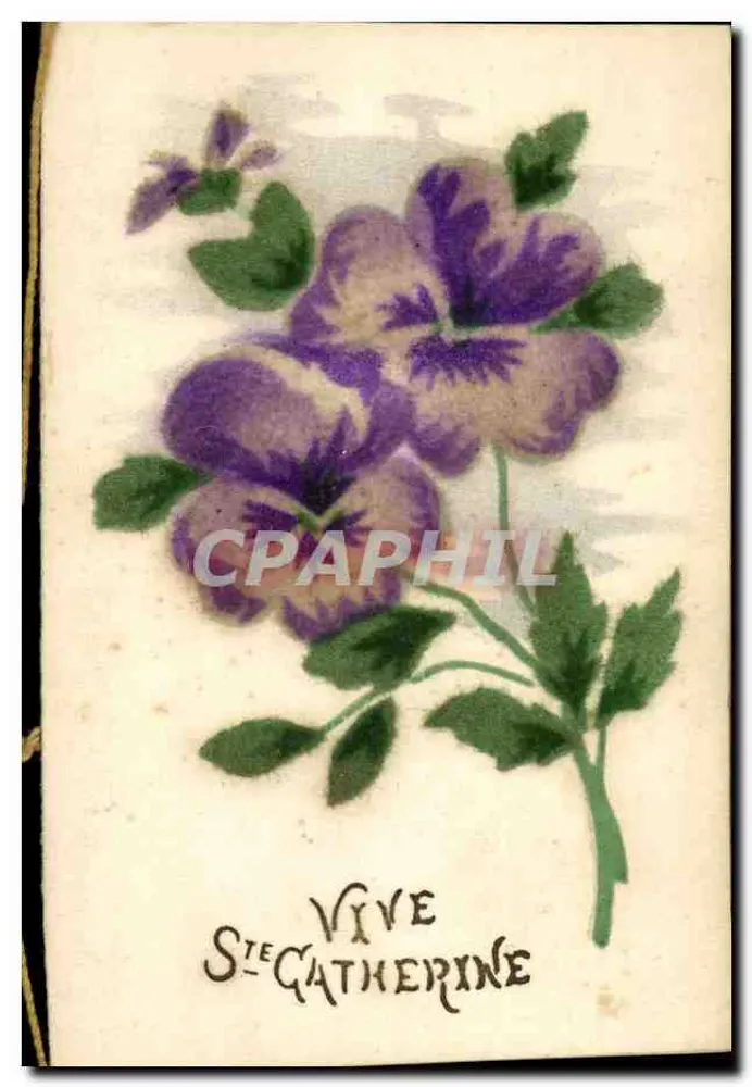 Violetas — dedicatoria a Santa Catalina — sin editor ni número visible - Anverso
