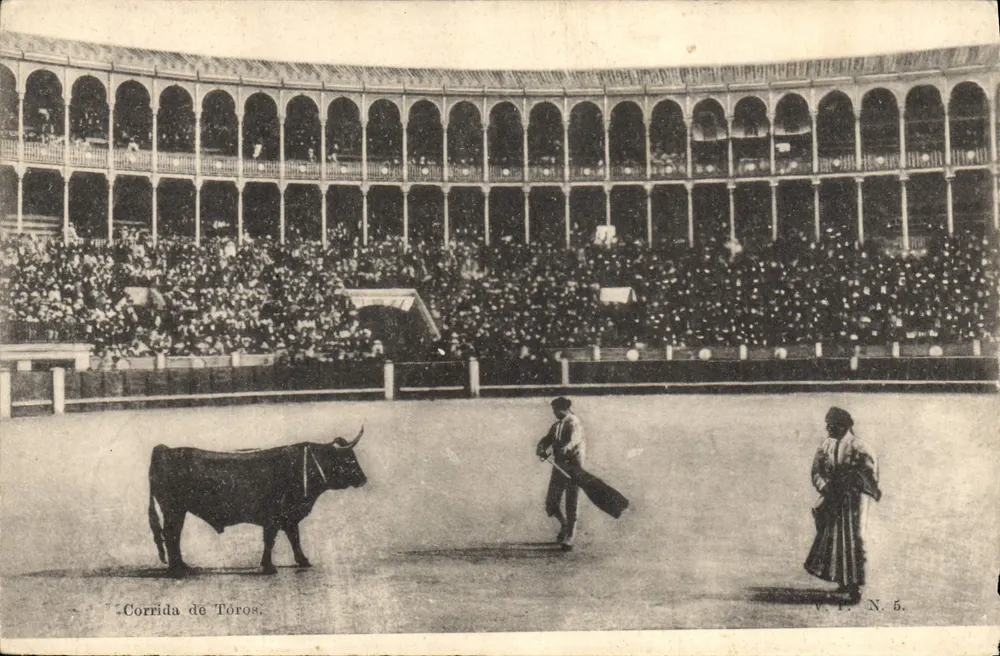 Corrida de touros — arena com espectadores — V.P. N. 5 - Frente