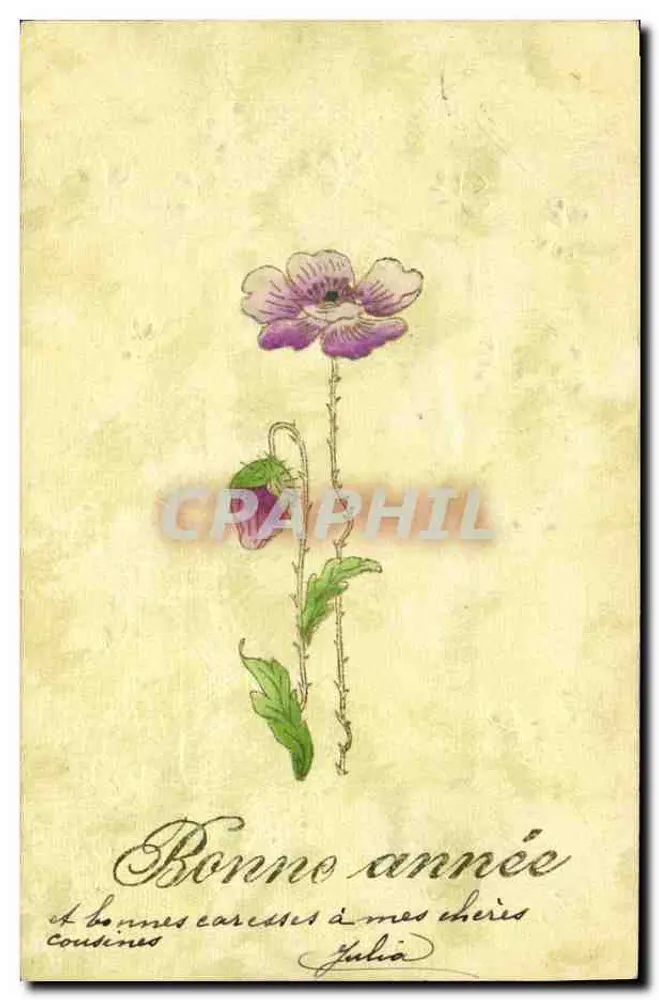 Flor de violeta — Boas festas aos meus queridos primos — Julia - Frente