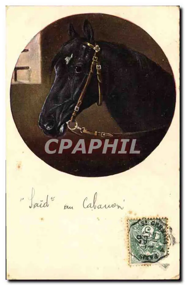 Cheval noir — portrait circulaire — éditeur T.S.N. Série 892 - Frente