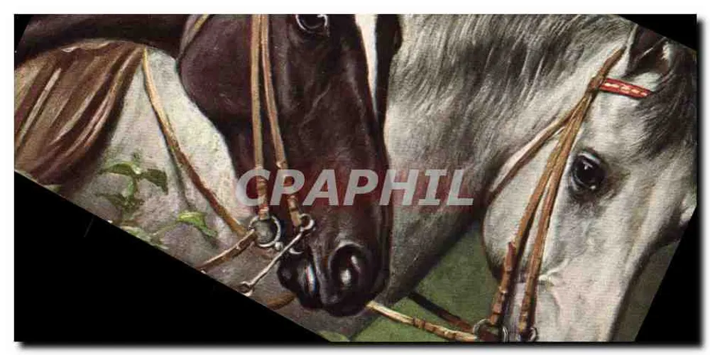 Dois cavalos — retrato — T.S.N. Série 1410 (4 Livres) - Frente
