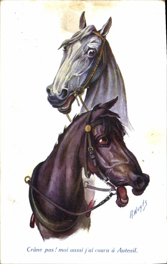 Dois cavalos — caricatura humorística — A. Wuyts - Frente