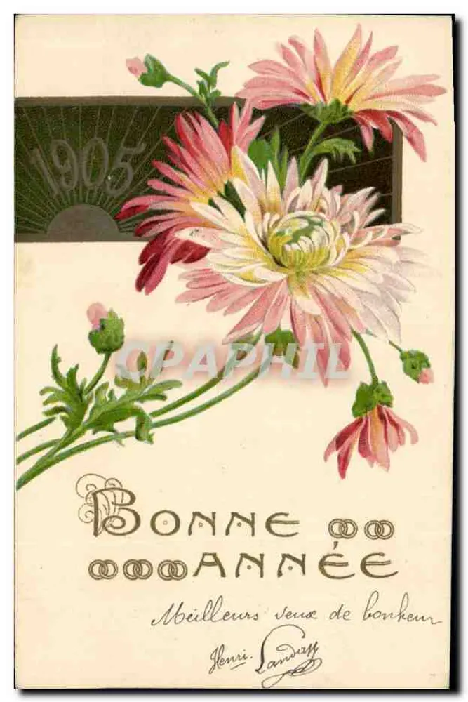 Chrysanthemenblüten — Frohes Neues Jahr 1905 — Henri Lanway - Vorderseite
