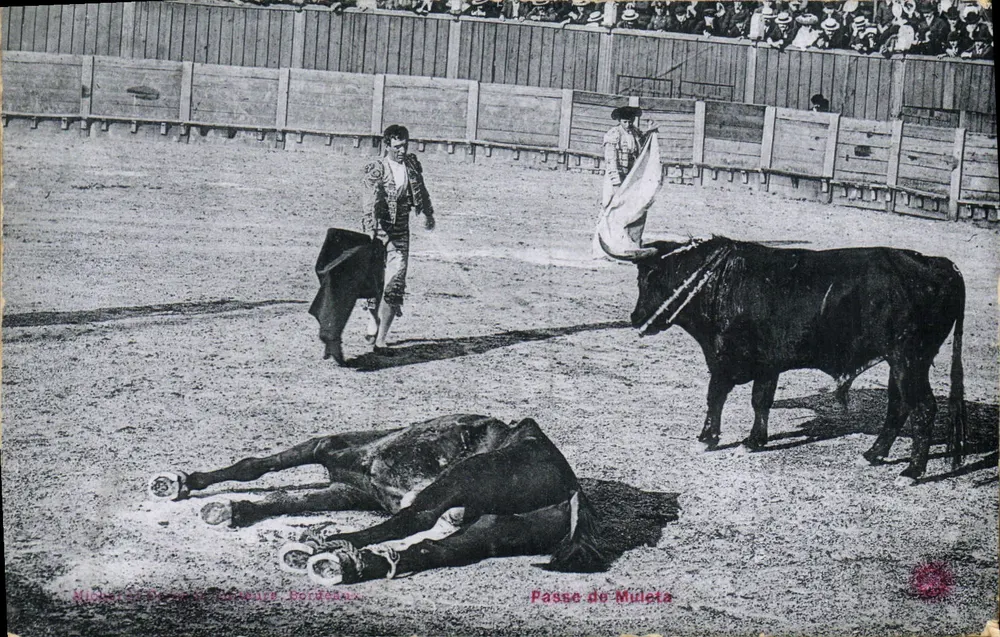Passagem de Muleta — Bordeaux — editor Michler e Pommier - Frente