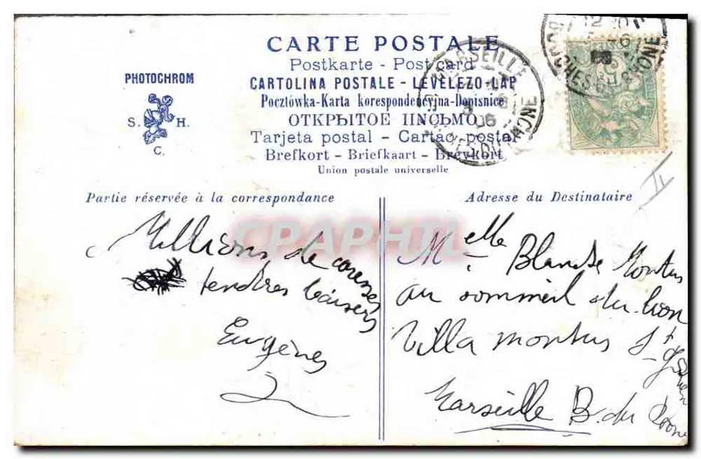 Frau im Foto — Dekoration mit Katzen und Blumen — Photochrom S.H. C. - Rückseite