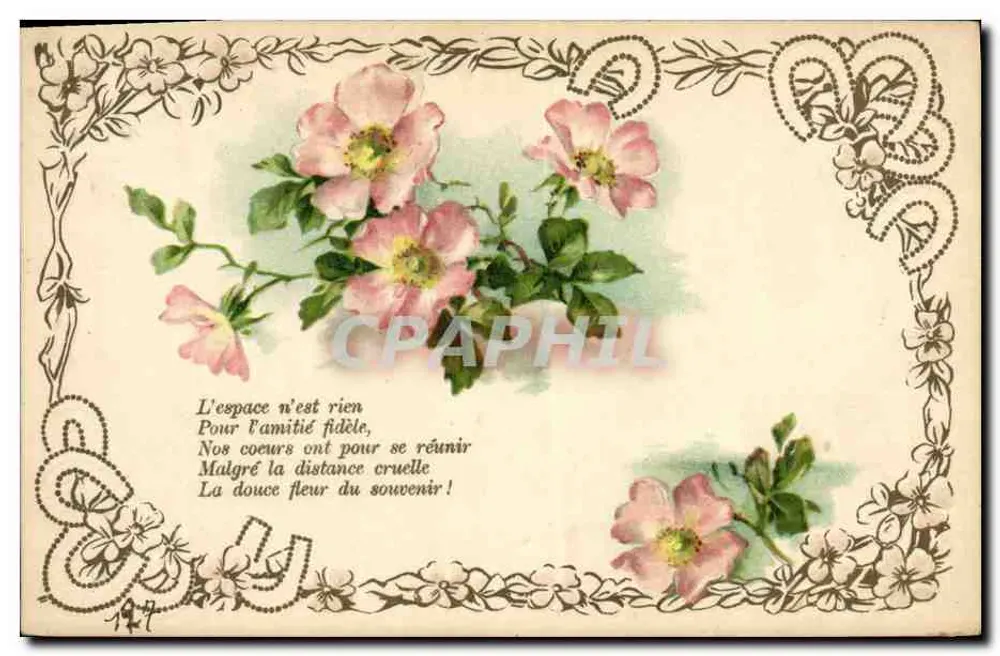 Flores de rosa — poema de amizade — E.P. (editor) - Frente