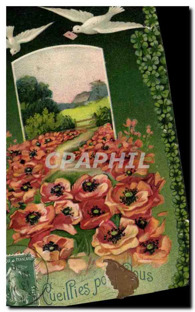 Flores de papoula e pombas — carta postal alemã — MADE IN GERMANY - Frente