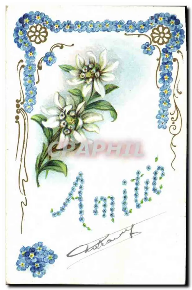 Flores das Alpes — Amilie — G. B. Paris - Frente